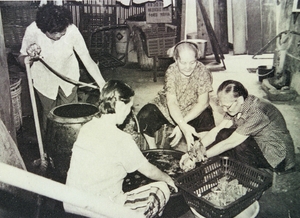 八十年代志蓮安老院嘗試推行護理服務，提高志蓮安老服務素質